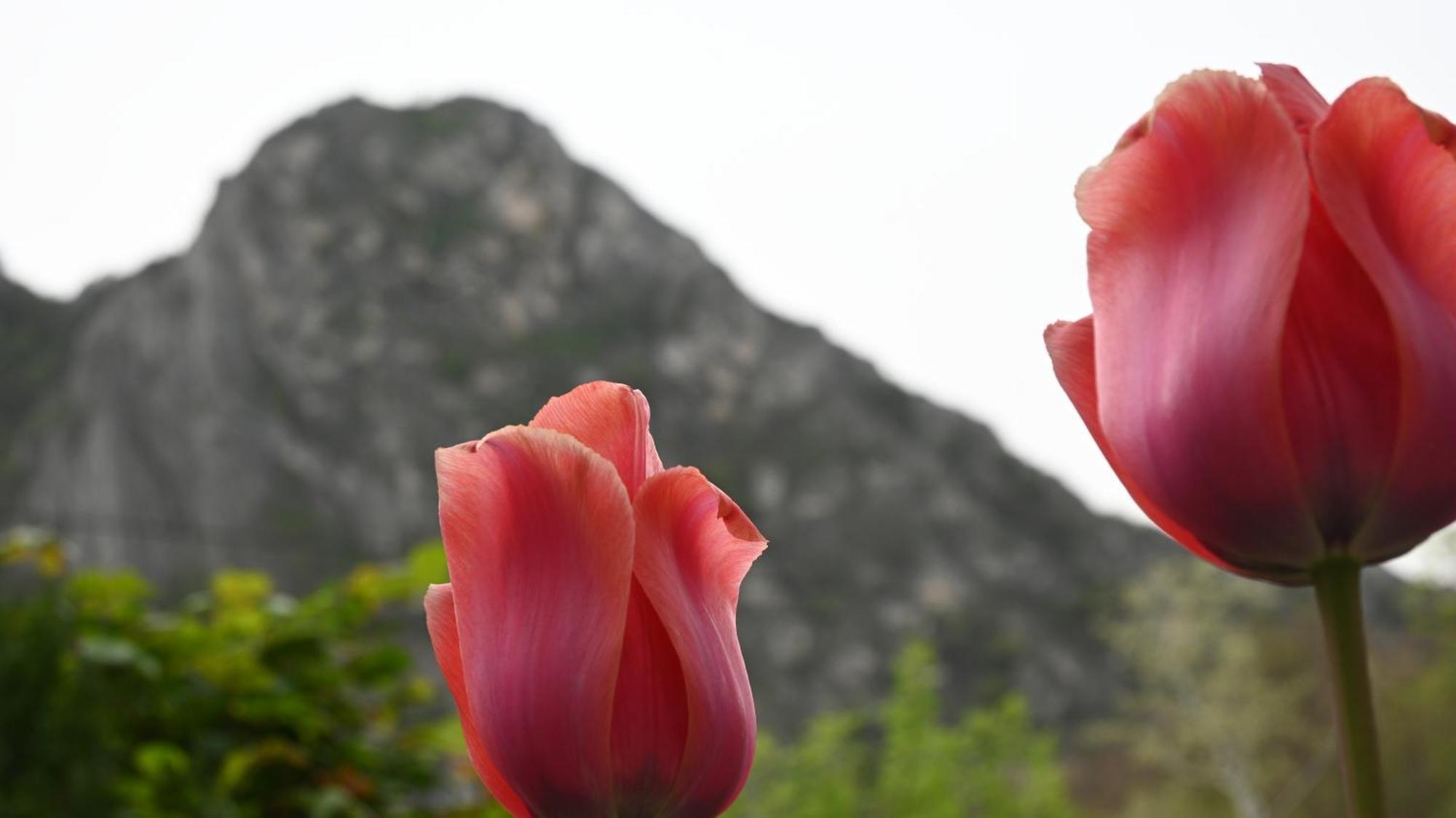 Canyon Matka - Unique Place For Stay สโกเปีย ภายนอก รูปภาพ